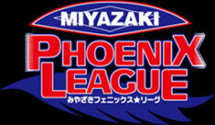 DeNA、みやざきフェニックス・リーグ参加メンバー発表　山﨑康晃、京田陽太、関根大気ら26名が参加