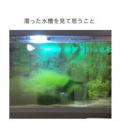 【悲報】謎の勢力「水は腐るぞ」←は?