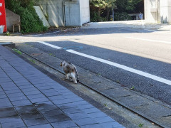 相談者「娘の腕力が逸脱してる。大柄な旦那と互角。一度病院に連れて行こうと旦那と相談中です」スレ民「そんなことで病院いくわけ？ｗ医者も大変だｗ」→検査結果は・・・