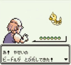 初代ポケモンの仕様、今考えるとおかしすぎるｗｗｗｗｗｗｗｗｗｗｗｗ