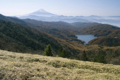 【悲報】秋、終わる