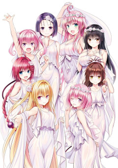 【画像】ToLOVEるの女の子って全員メイン級の可愛さやんけぇｗｗｗｗｗ