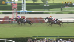 【競馬】メイショウタバルは有馬記念を視野　来年も現役続行！