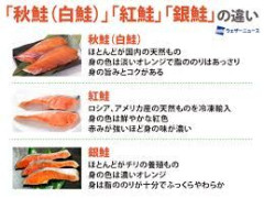 銀鮭と紅鮭の違い