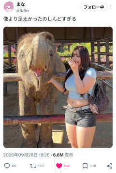 【悲報】動物園に行ったオシャレ女子さん、象より脚が太くて大炎上ｗｗｗｗｗ
