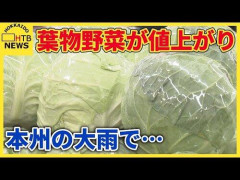 【悲報】刃物野菜、10月に急激な値上げ※白菜8倍ｗｗｗｗｗｗｗｗｗｗ