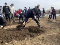 【悲報】毎日スコップで3時間穴を掘って、3時間かけて埋める仕事(日当2.5万円)←やりたい？