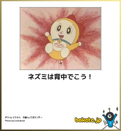 お前らが保存してる「何度見ても笑う画像」貼ってけｗｗｗ