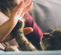 俺は元彼女も嫁もみんな絶世の美女ぞろいだ　→　そのトンデモナイ理由は…,,