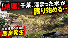 【地獄】千葉、溜まった水が腐り始める…