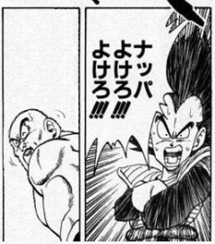 ベジータ「ナッパ避けろ！」
