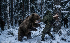 クマが「自宅の庭に」、ロシア全土で16人が襲われ死亡…CNN！