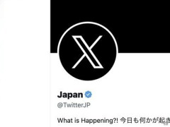 【悲報】成人のX利用率、日本だけ異常な模様ｗｗｗｗ