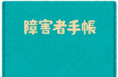 【悲報】令和の日本、『障害者手帳』でマウントを取り合う社会になってしまう・・・