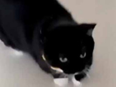 彼女には高級なソファやベッドはいらなかった。ご満悦♪ → これがあれば十分です…