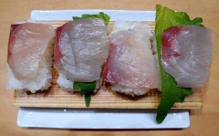 【悲報】インスタ民、寿司の毛細血管が気持ち悪くて食事を断念ｗｗｗｗｗｗｗｗｗｗ