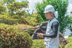 【悲報】庭師に2日間剪定やら頼むと金額どのぐらいになる？