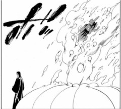 【BLEACH】白哉よく変な敵とマッチアップするな