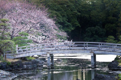 【衝撃】夏でも1週間お風呂に入らない弟嫁「家にずっといるから汚れない」→弟が「臭い、汚い」と言い続けていたら、弟嫁がその言葉をパワハラとして調停員に訴えた！