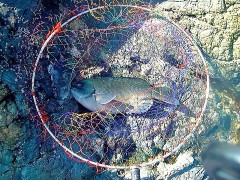 【注意】堤防で妻と釣り中、若いカップルがキャーキャー騒ぐ場面を目撃した…