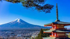 【画像】海外の有名人、日本で完全に無双してしまうwwwwww