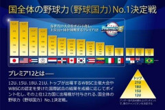 【悲報】三大野球にガチになったら強くなりそうな国「中国」「ドイツ」