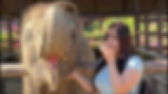 【悲報】動物園に行ったオシャレ女子、象より脚が太くて大炎上wwwwwwwwwwww