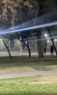 【閲覧注意】クソガキ泥棒、警察から見事に脱出・鮮やかに姿を消す