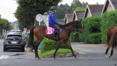 【競馬】ジェンティルドンナ最後の仔『アステリアドンナ』　父エピファネイア