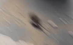 ネズミおった！！！！！！！！！（※画像あり）
