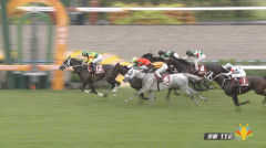 ヘデントールさん終わる
