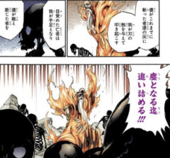 【BLEACH】山爺という熱すぎるじいさん