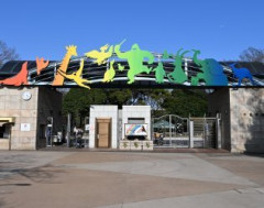 【閲覧注意】千葉市動物公園、肉と生首でハートマークを作り悪趣味だと言われてしまうｗｗｗｗｗ