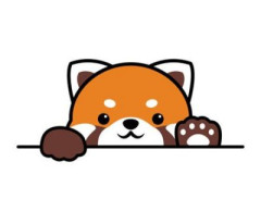 【グロ注意】レッサーパンダ同士の喧嘩、血なまぐさすぎる……