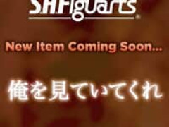 【僕のヒーローアカデミア】S.H.Figuarts新作は「エンデヴァー」？