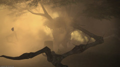 【FF14】魔獣使いのトレントが使えるどんぐり爆弾の「悪夢」がガチの壊れ効果な件。ずっと俺のターンになるから新生FATEで無双できる