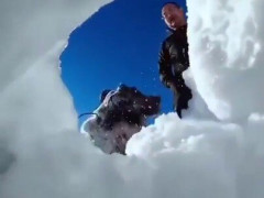 訓練で雪やがれきに埋まった人を見つけた捜索救助犬たち、穴やすき間から次々に顔を突っ込んでくる「かくれんぼ下手すぎだろ」【海外の反応】