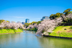 「東京」に行って驚くこと
