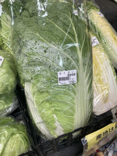 【画像】白菜、一線越えｗｗｗｗｗｗｗｗｗｗｗｗ