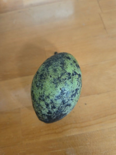 「ポポー」とかいう謎の果物貰ったんだがｗｗｗｗｗｗｗ
