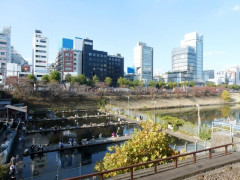 市ヶ谷の有名な釣り堀、「事実上の不法占拠状態」だった