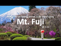 外国人「あなたの動画は本当に素晴らしい」Unique Japan Travelが春の富士山エリアを旅してる