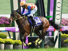 【疑問】なぜ日本競馬には3000mを超えるG1レースがないのか？🤔