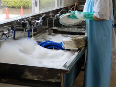 「タイミーさん」じゃなく名前で呼んで…300ヵ所で働いた20代女性が見た“カースト最下層”の現実