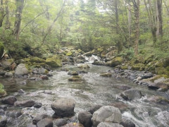 明日釣り行くぜぃ