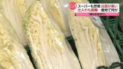 【朗報】大竹しのぶさん「葉物野菜の値段が高すぎる！今の政府はおかしい！何してるの！？」ｗｗｗｗｗｗｗｗｗｗ