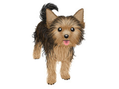 子供の情操教育のために犬を飼おうと思ってるんだけど…