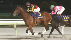 横山武史騎手ダート三冠成績　他