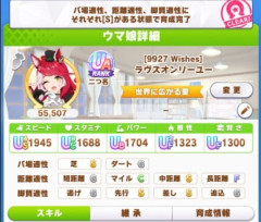 【ウマ娘】バ場適性Sは一見強そうに見えるが…