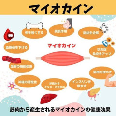【悲報】最近筋トレしてると「なんでワイはこんな意味もなく努力してんだ…？」って我に返る